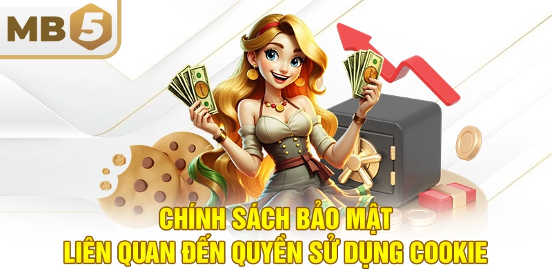 Chính sách bảo mật liên quan đến quyền sử dụng cookie