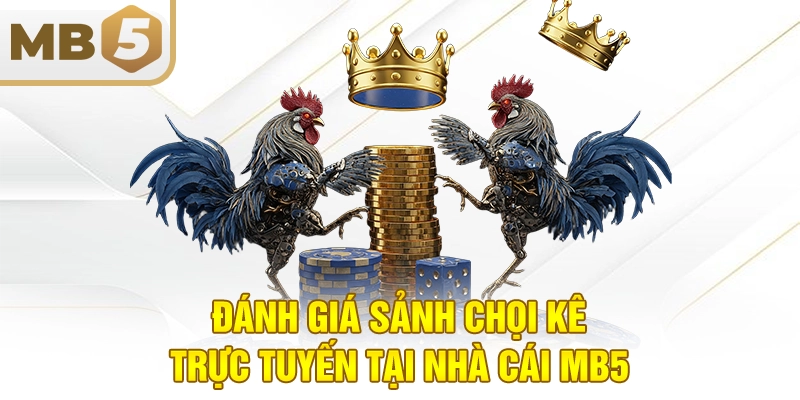 Đánh giá sảnh chọi kê trực tuyến tại nhà cái MB5
