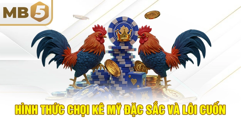 Hình thức chọi kê Mỹ đặc sắc và lôi cuốn