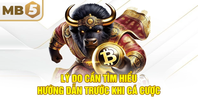 Lý do cần tìm hiểu hướng dẫn trước khi cá cược