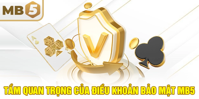 Tầm quan trọng của điều khoản bảo mật MB5